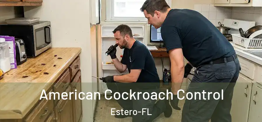  American Cockroach Control Estero-FL