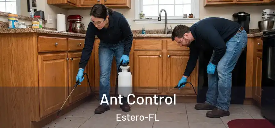  Ant Control Estero-FL