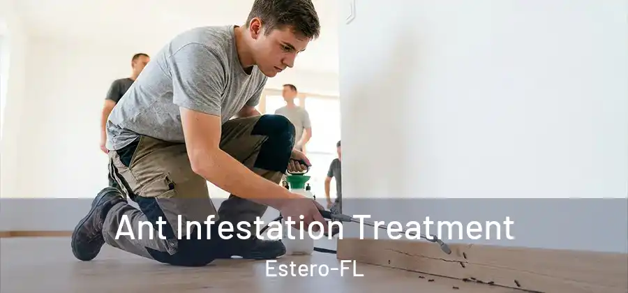  Ant Infestation Treatment Estero-FL