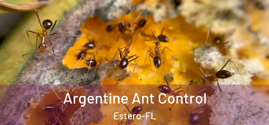  Argentine Ant Control Estero-FL