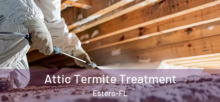  Attic Termite Treatment Estero-FL