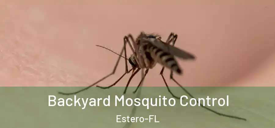  Backyard Mosquito Control Estero-FL