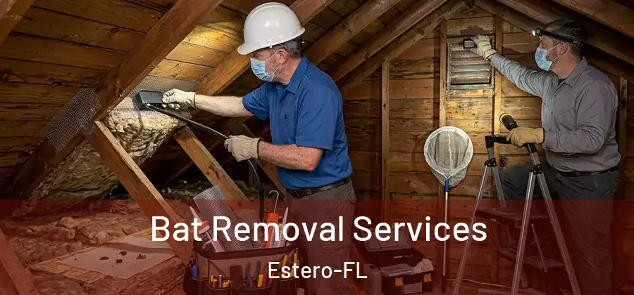 Bat Removal Services Estero-FL