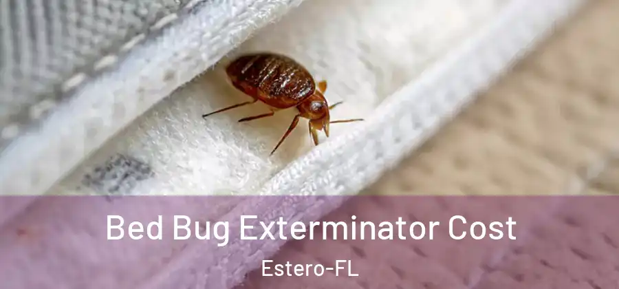  Bed Bug Exterminator Cost Estero-FL
