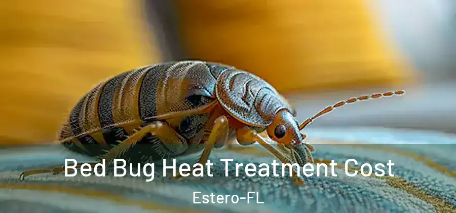 Bed Bug Heat Treatment Cost Estero-FL