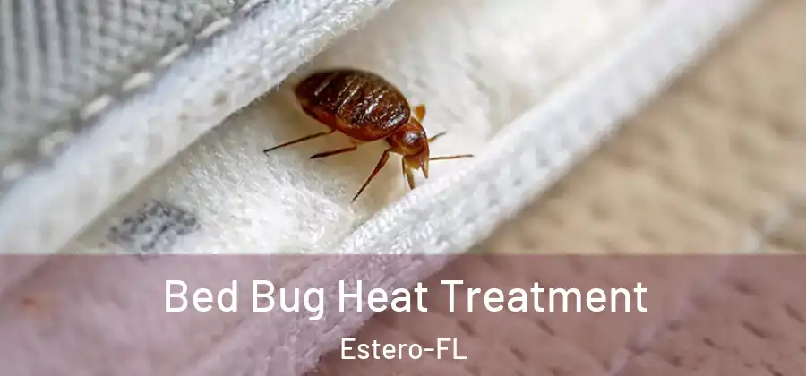  Bed Bug Heat Treatment Estero-FL
