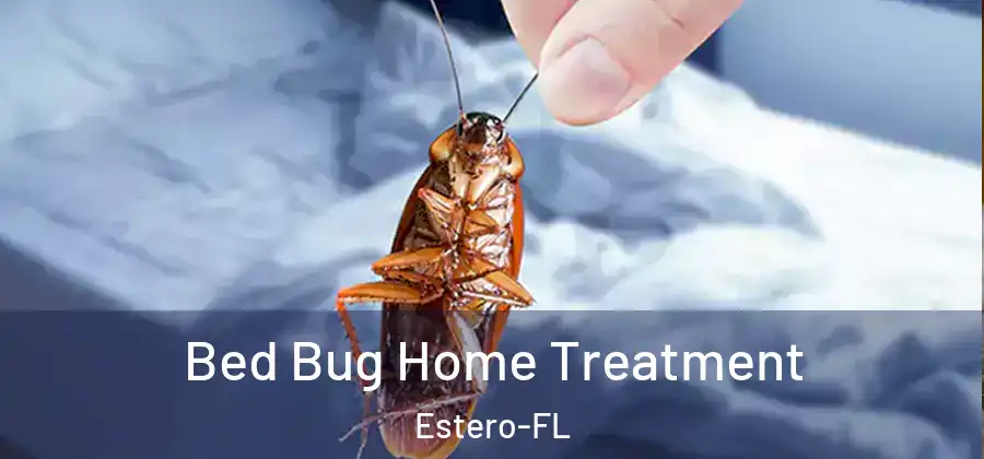  Bed Bug Home Treatment Estero-FL