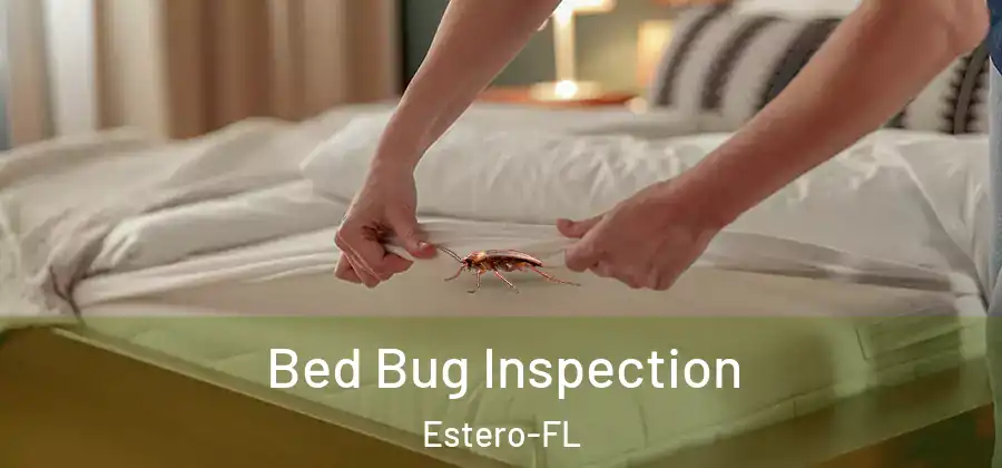 Bed Bug Inspection Estero-FL