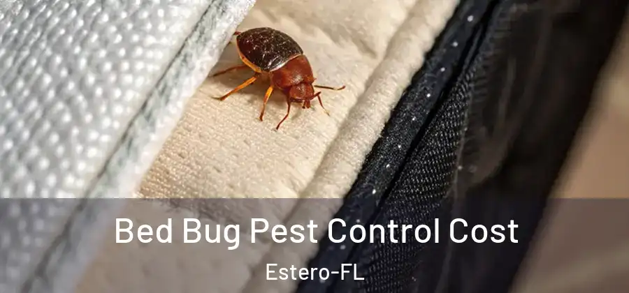  Bed Bug Pest Control Cost Estero-FL