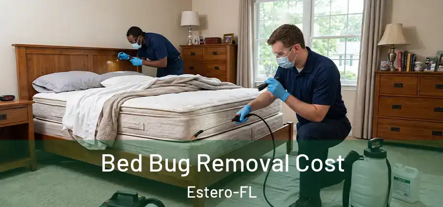  Bed Bug Removal Cost Estero-FL