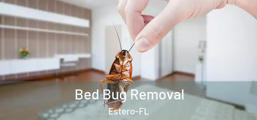  Bed Bug Removal Estero-FL