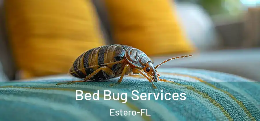 Bed Bug Services Estero-FL