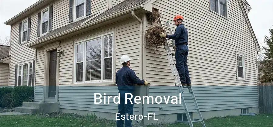 Bird Removal Estero-FL