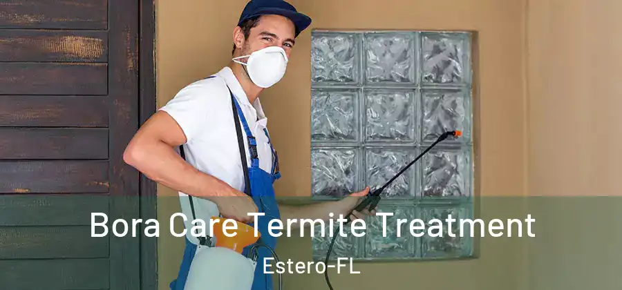 Bora Care Termite Treatment Estero-FL