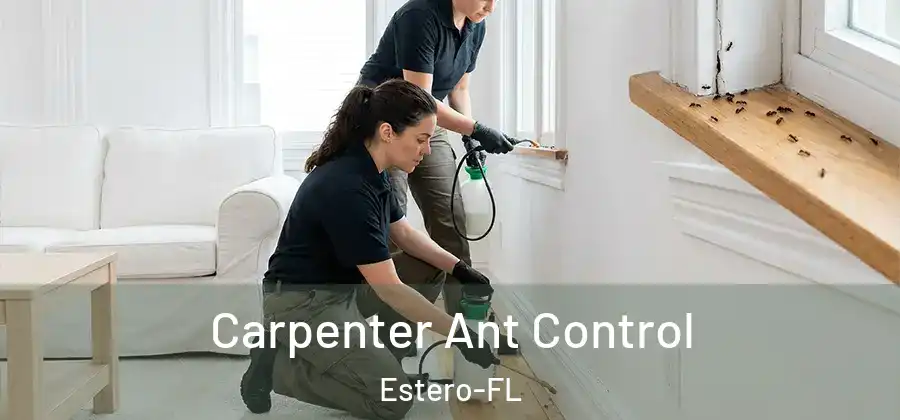  Carpenter Ant Control Estero-FL
