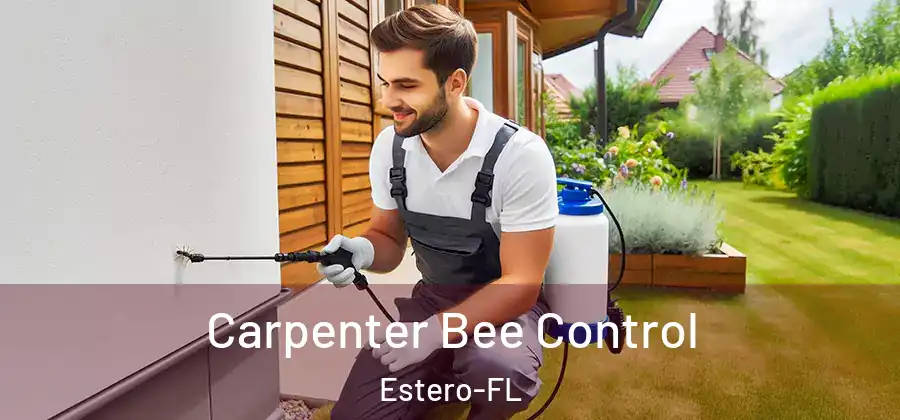  Carpenter Bee Control Estero-FL
