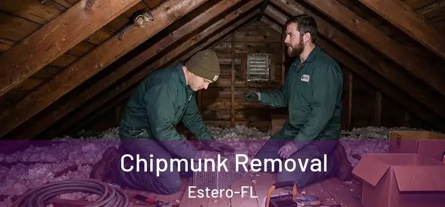  Chipmunk Removal Estero-FL
