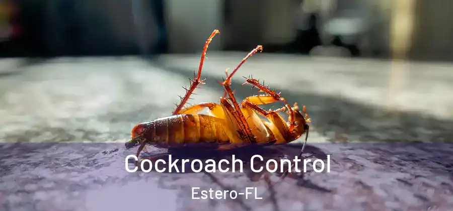  Cockroach Control Estero-FL