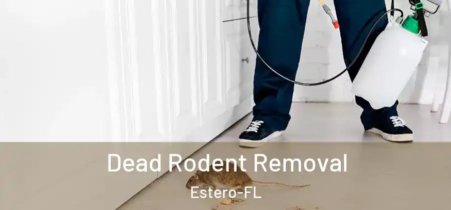  Dead Rodent Removal Estero-FL