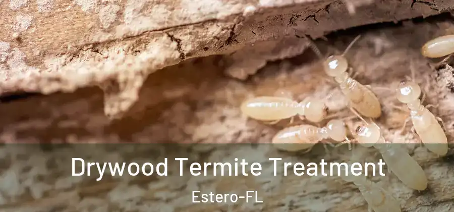  Drywood Termite Treatment Estero-FL