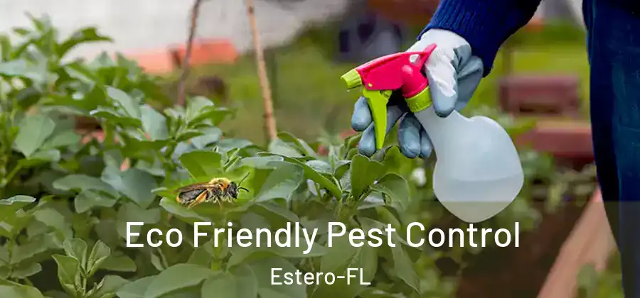  Eco Friendly Pest Control Estero-FL