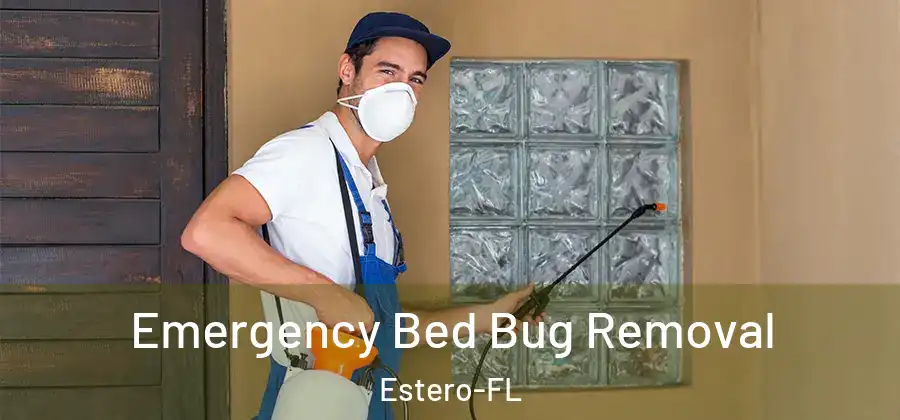  Emergency Bed Bug Removal Estero-FL