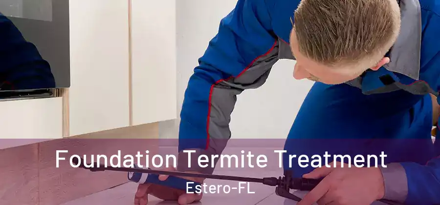 Foundation Termite Treatment Estero-FL