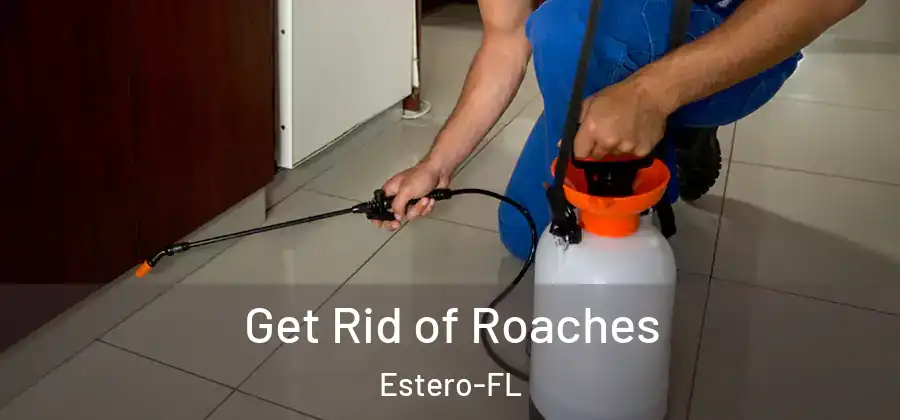  Get Rid of Roaches Estero-FL