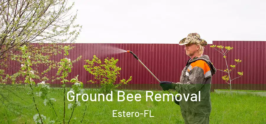 Ground Bee Removal Estero-FL