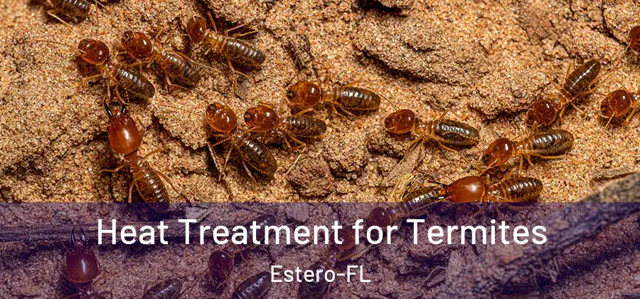 Heat Treatment for Termites Estero-FL