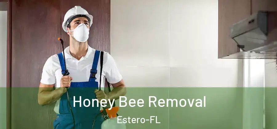  Honey Bee Removal Estero-FL