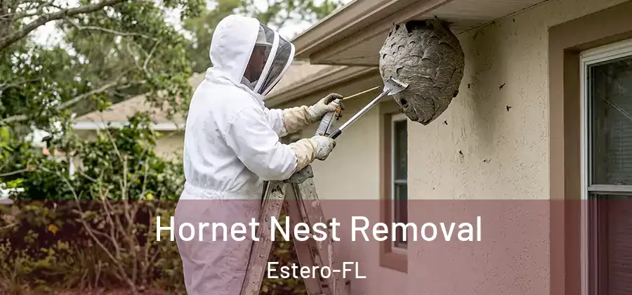  Hornet Nest Removal Estero-FL