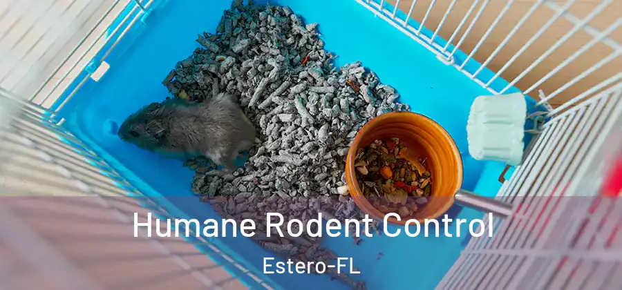  Humane Rodent Control Estero-FL