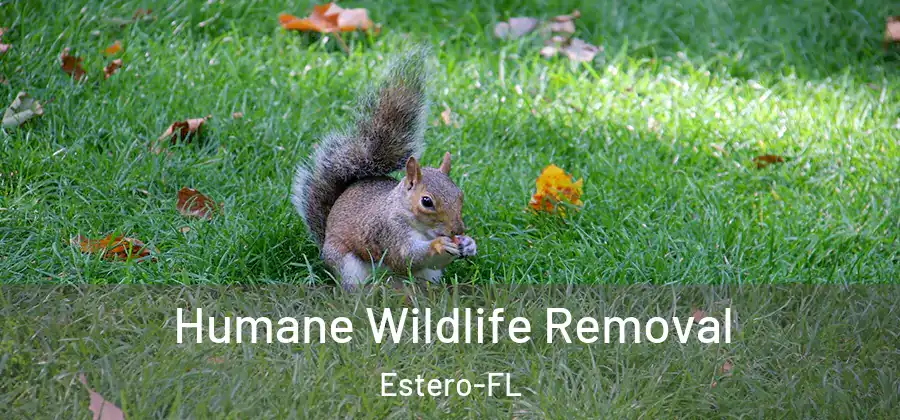  Humane Wildlife Removal Estero-FL