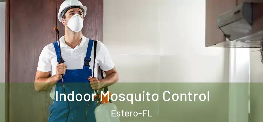  Indoor Mosquito Control Estero-FL