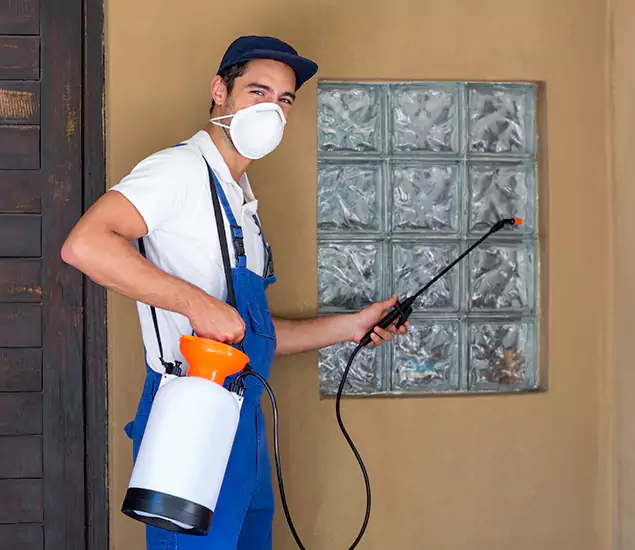 About Heat Treatment for Termites Experts in Estero, FL