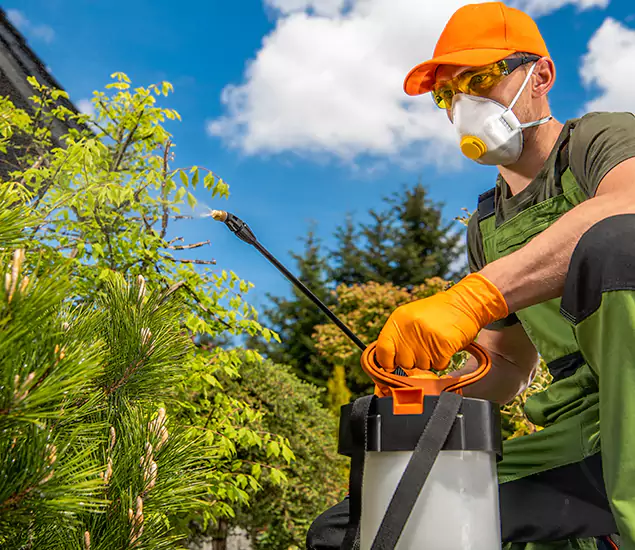 Your Best Bug Spray for Home Team in Estero, FL