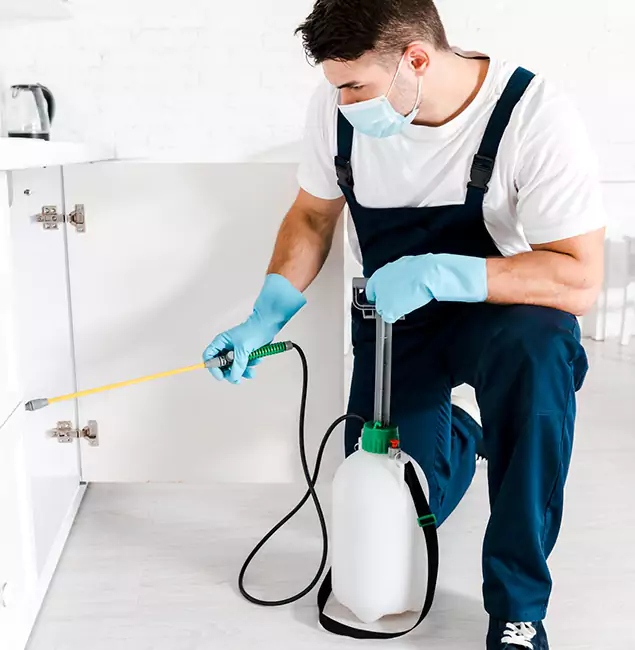 Why Estero, FL Homeowners Trust Us for German Roach Control?