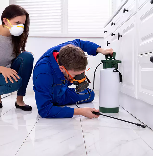 Why Estero, FL Homeowners Trust Estero Pest Control Pro for Roach Control?