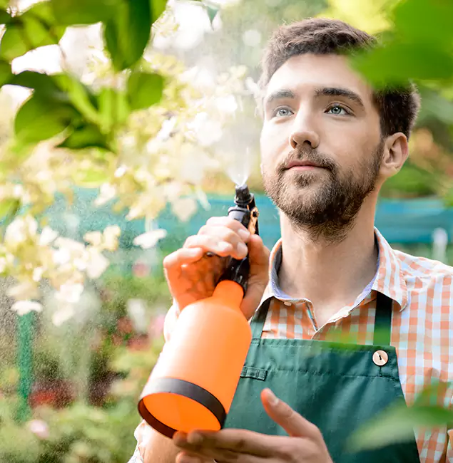 Why Estero Homeowners Call Estero Pest Control Pro for Mosquitoes in House?