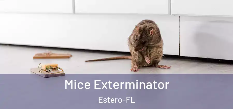  Mice Exterminator Estero-FL