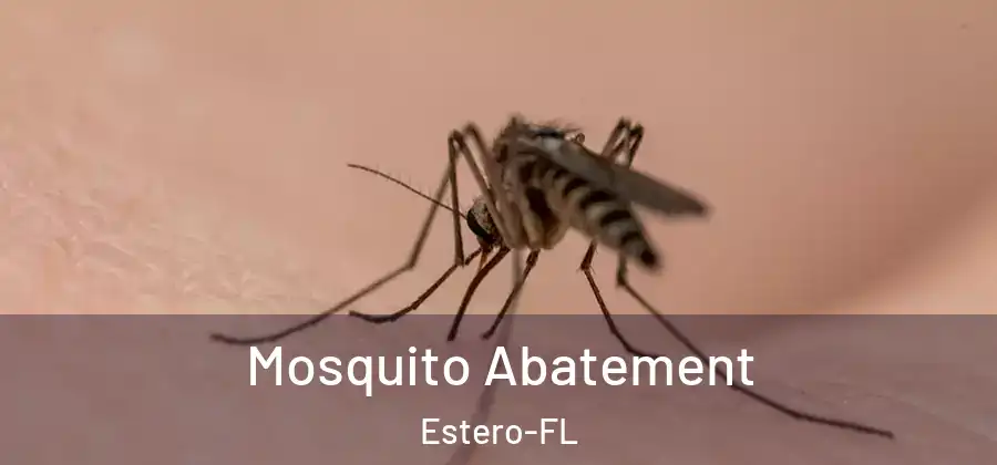  Mosquito Abatement Estero-FL