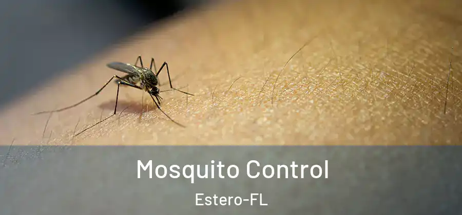  Mosquito Control Estero-FL