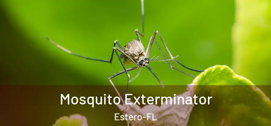  Mosquito Exterminator Estero-FL