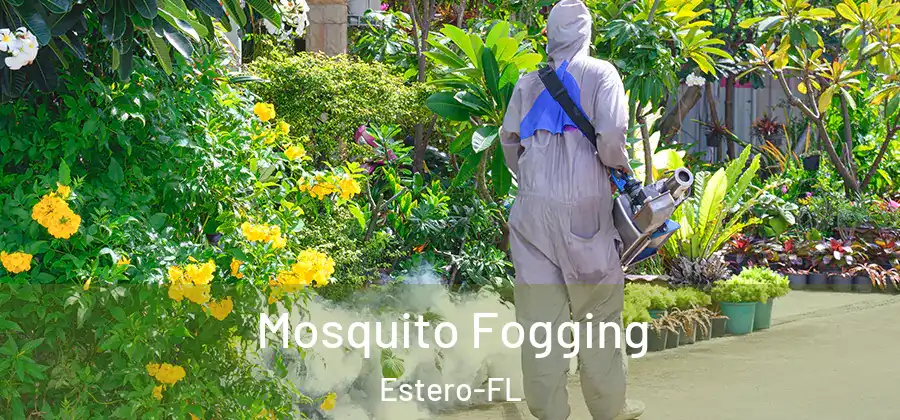  Mosquito Fogging Estero-FL