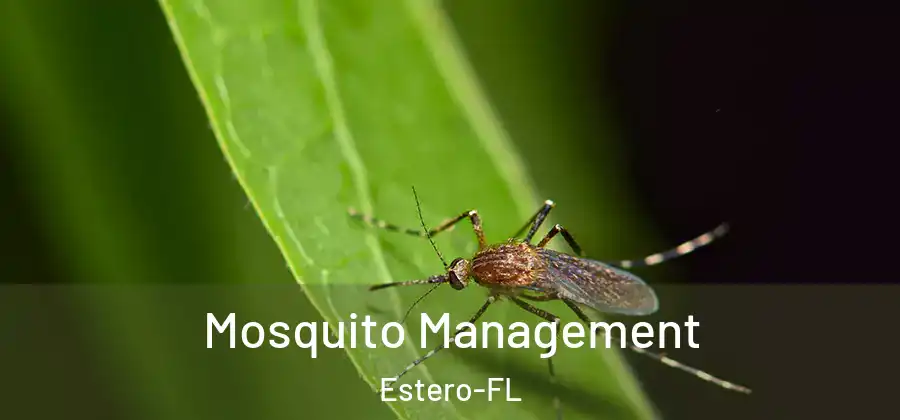  Mosquito Management Estero-FL