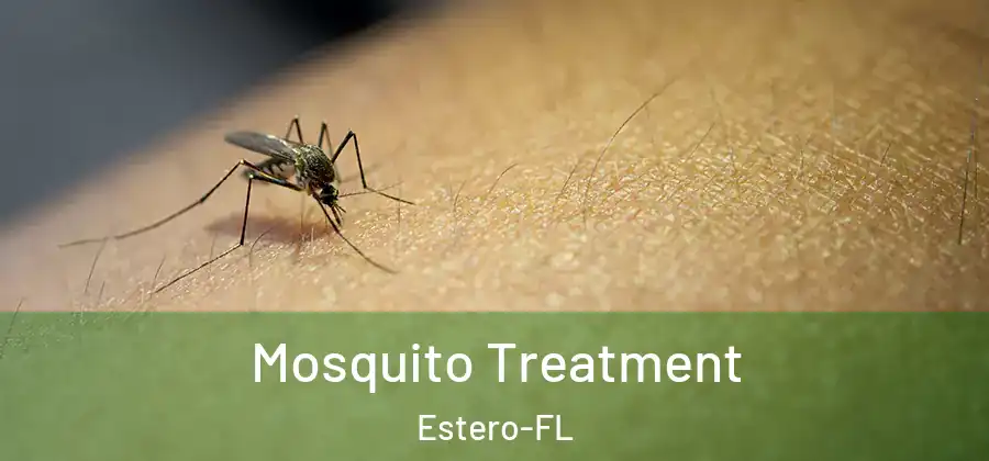 Mosquito Treatment Estero-FL