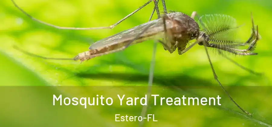 Mosquito Yard Treatment Estero-FL