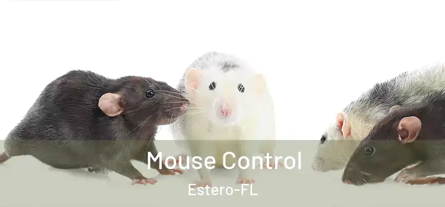  Mouse Control Estero-FL