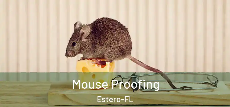  Mouse Proofing Estero-FL